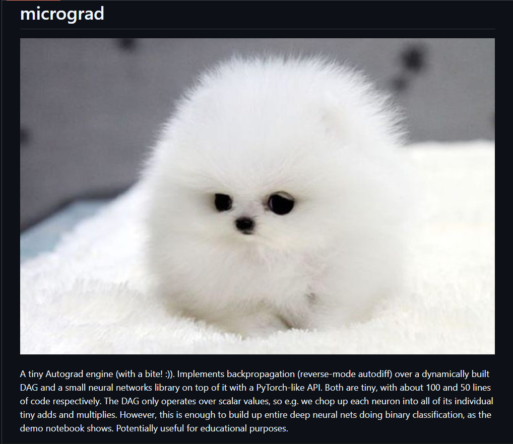 micrograd